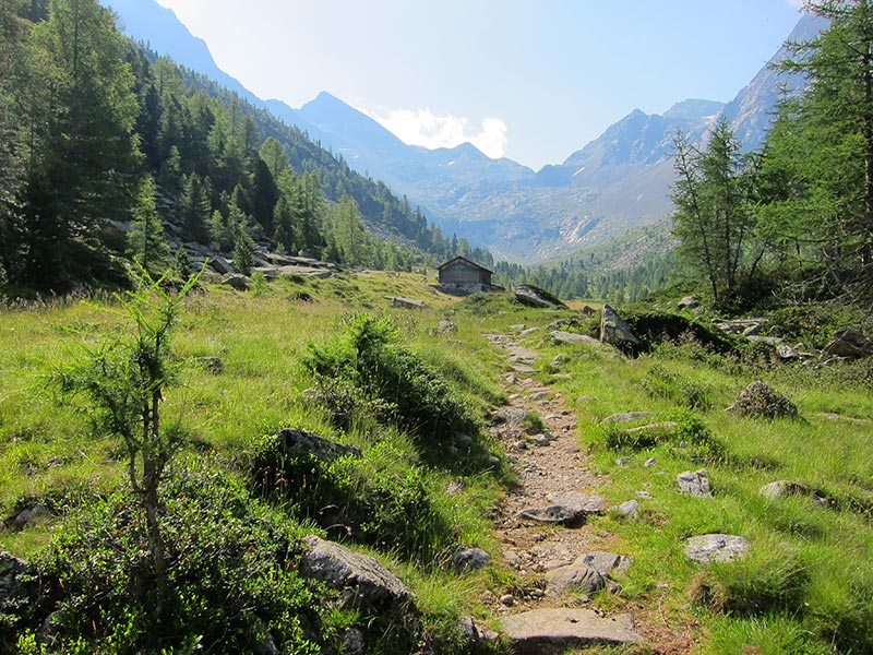 gelttalspitze